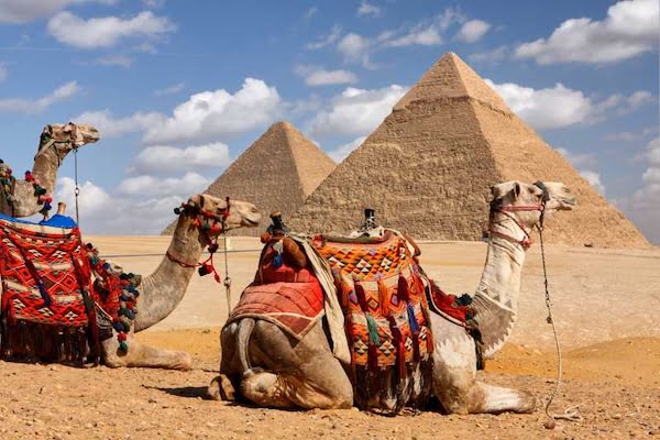 Hurghada: Cairo and Giza Pyramids Full Day VIP